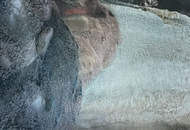 Imágenes de Artistas con enfoque a la fotografía