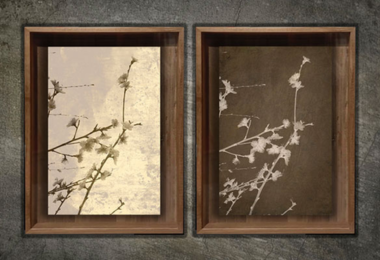 Imágenes de Artistas con enfoque a la fotografía