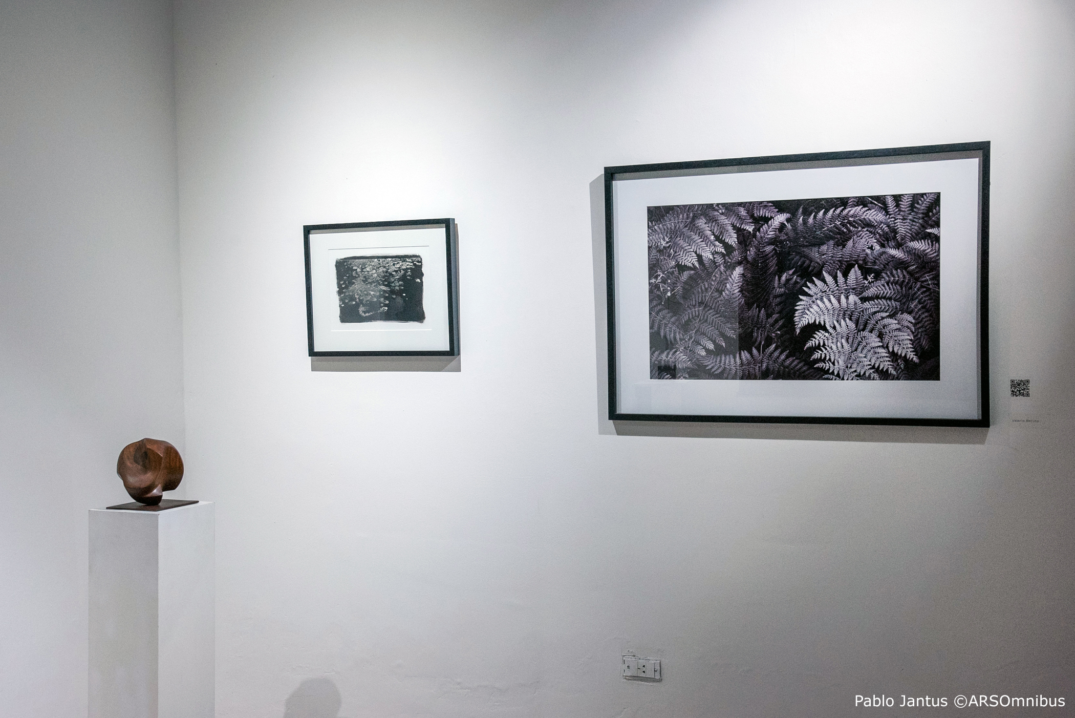 Fundación Naum Knop - Galería Lorena Del Pilar Art - Noviembre 2024 (16)