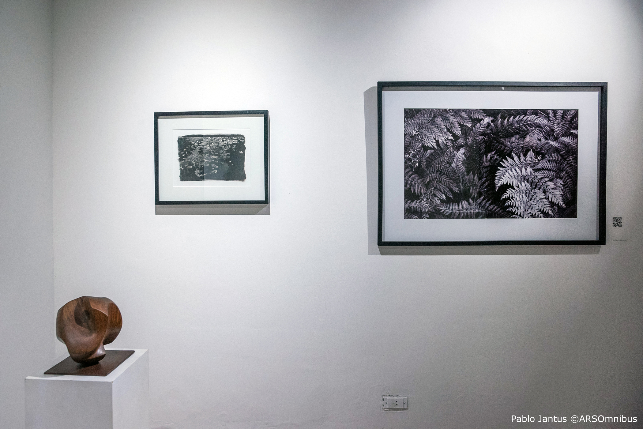 Fundación Naum Knop - Galería Lorena Del Pilar Art - Noviembre 2024 (18)