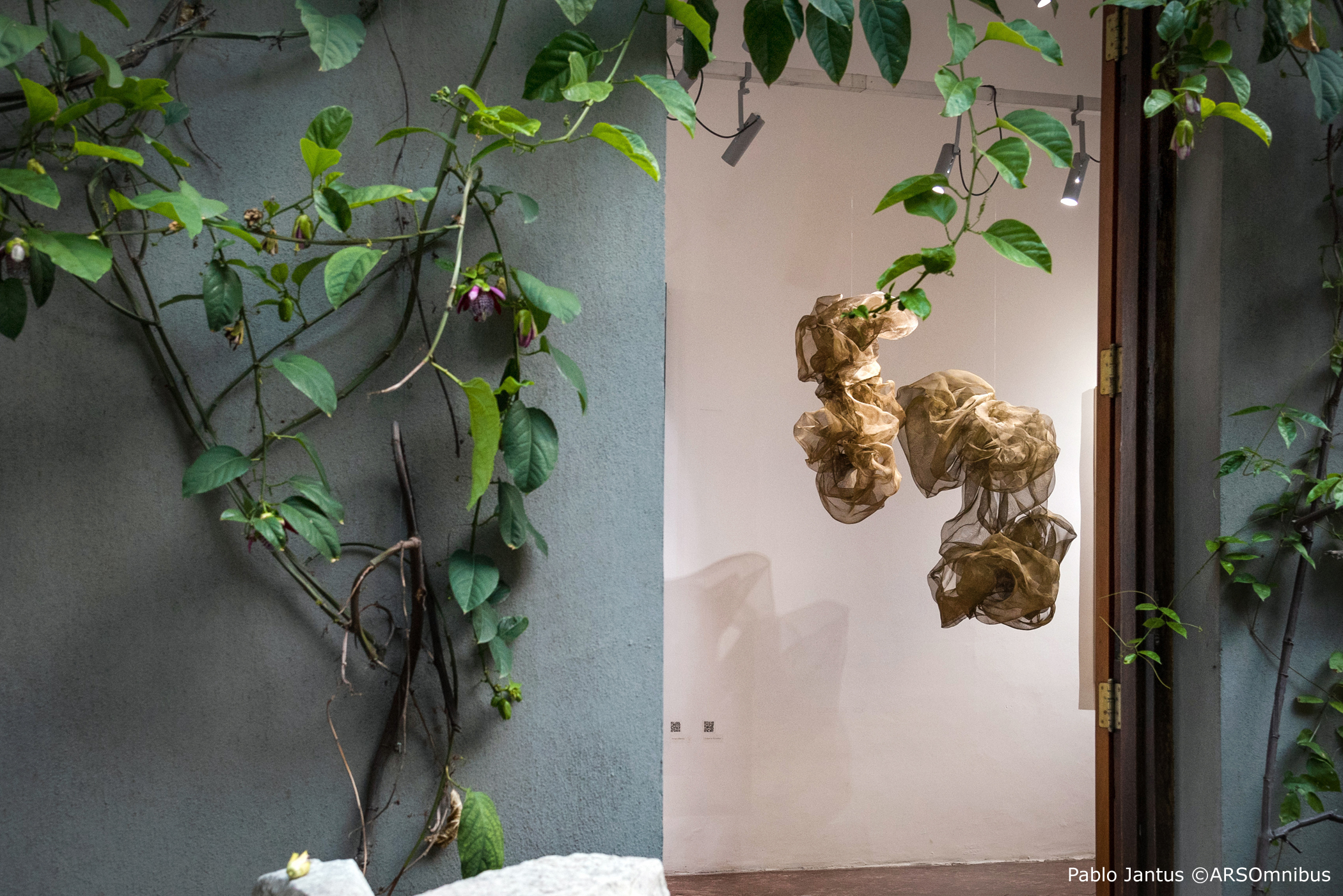 Fundación Naum Knop - Galería Lorena Del Pilar Art - Noviembre 2024 (6)